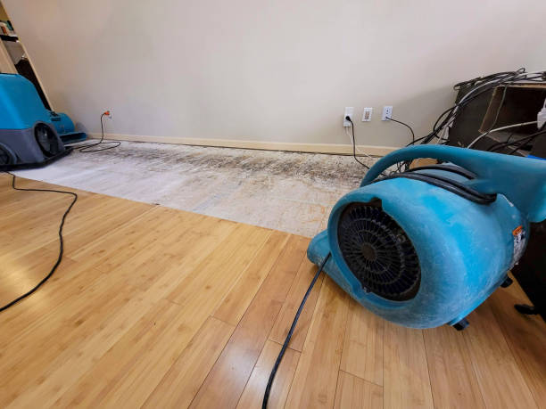 Professional Water Extraction technician working in Perry, ME